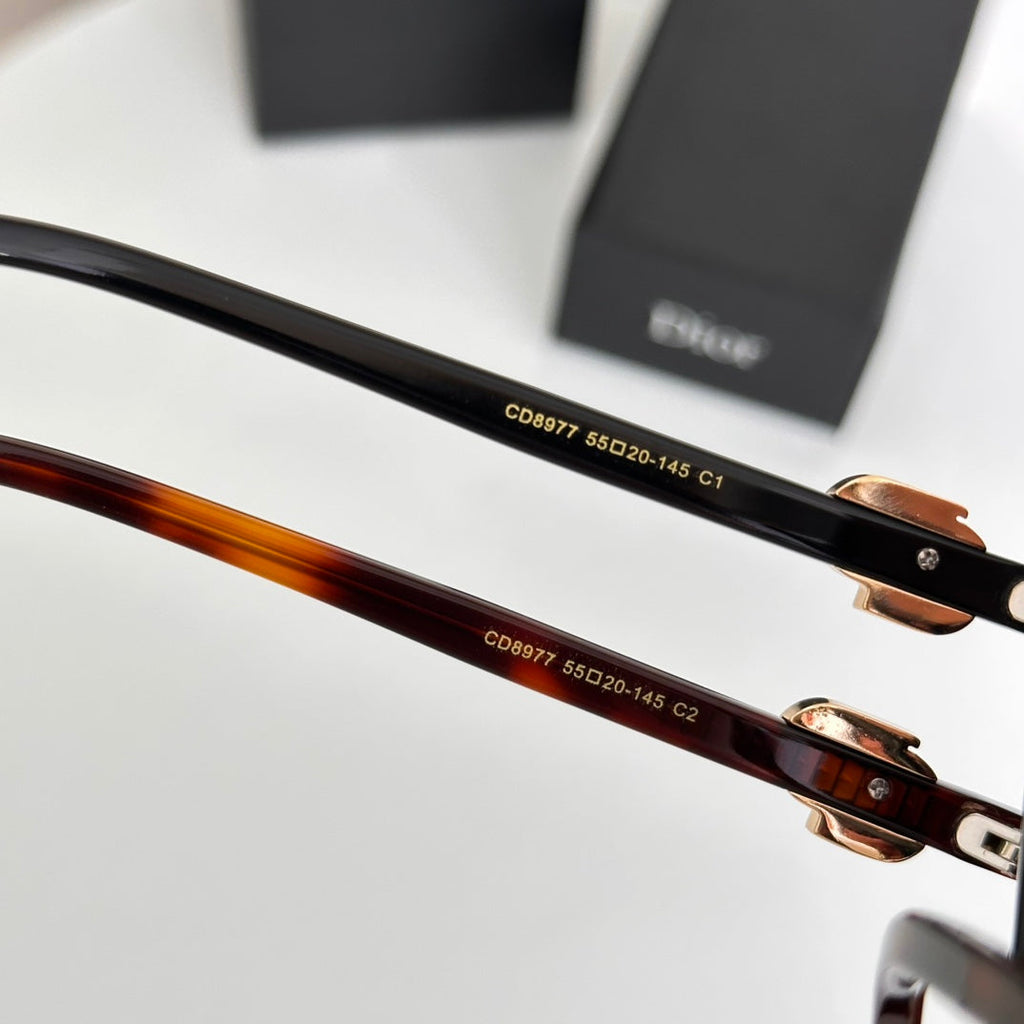 DIOR MONTAIGNE SUNGLASS CD8977 IN ACETATE