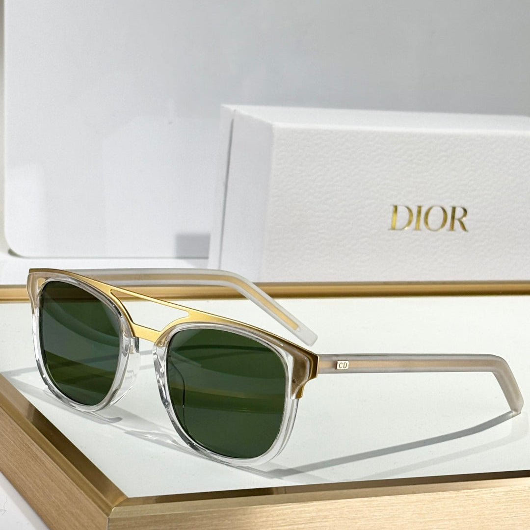 DIOR MONTAIGNE SUNGLASS BLACKTIE221S IN ACETATE
