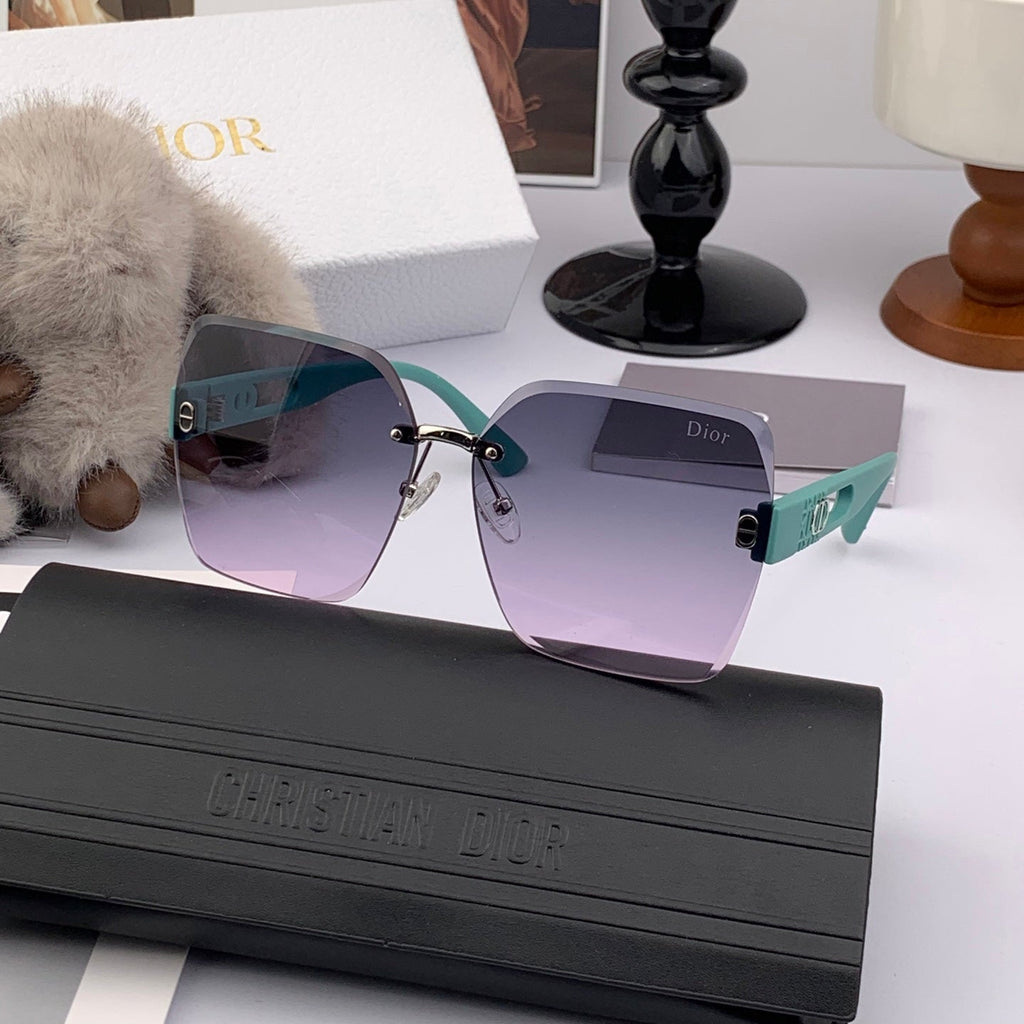 DIOR SIGNATURE SUNGLASS CD9770 IN ACETATE