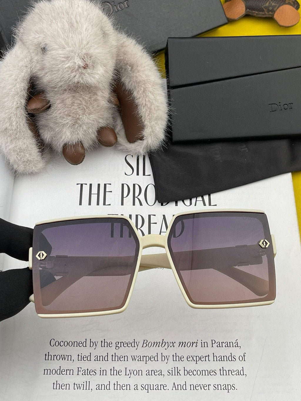 DIOR MONTAIGNE SUNGLASS CD9781 IN ACETATE