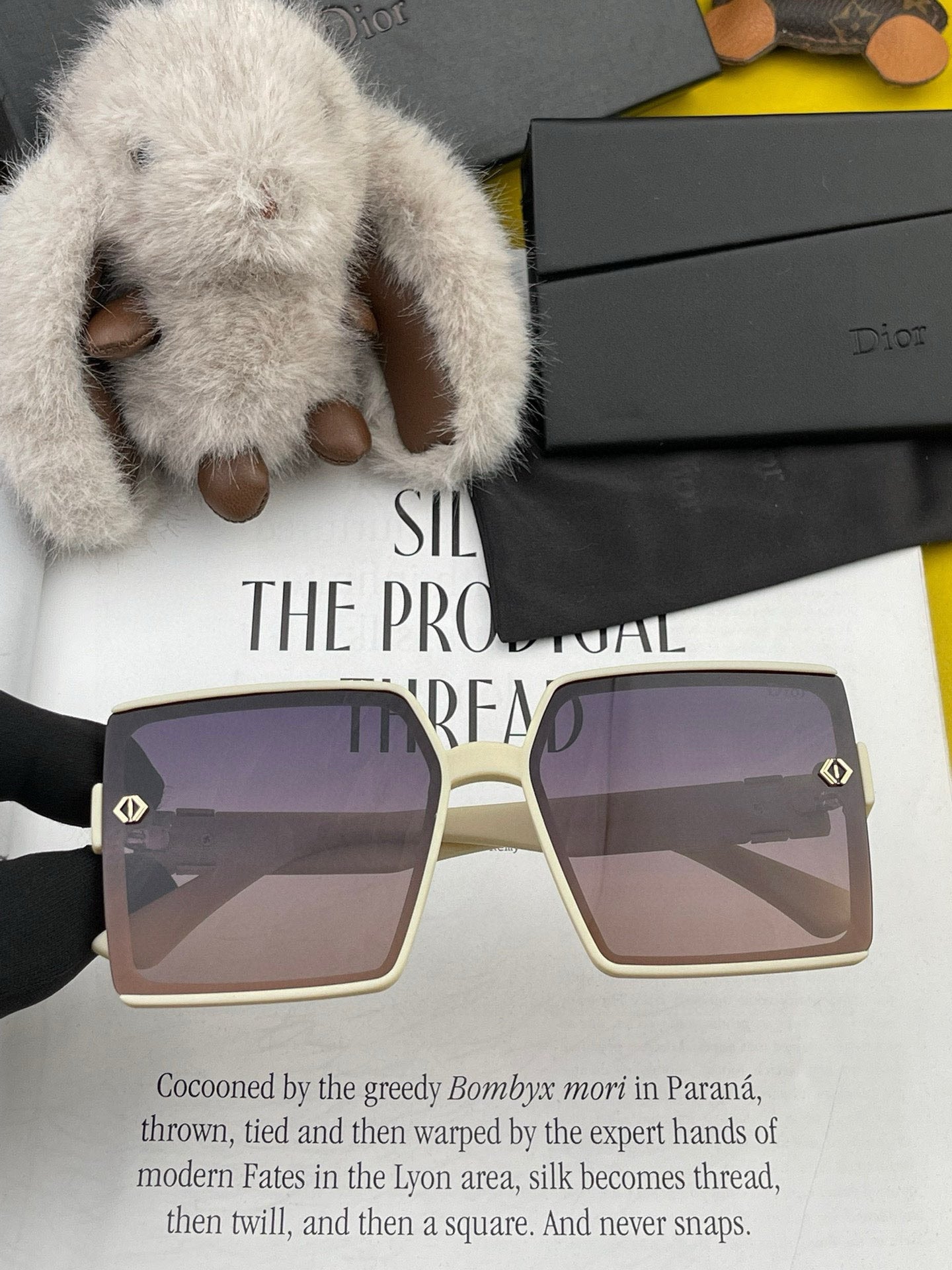DIOR MONTAIGNE SUNGLASS CD9781 IN ACETATE