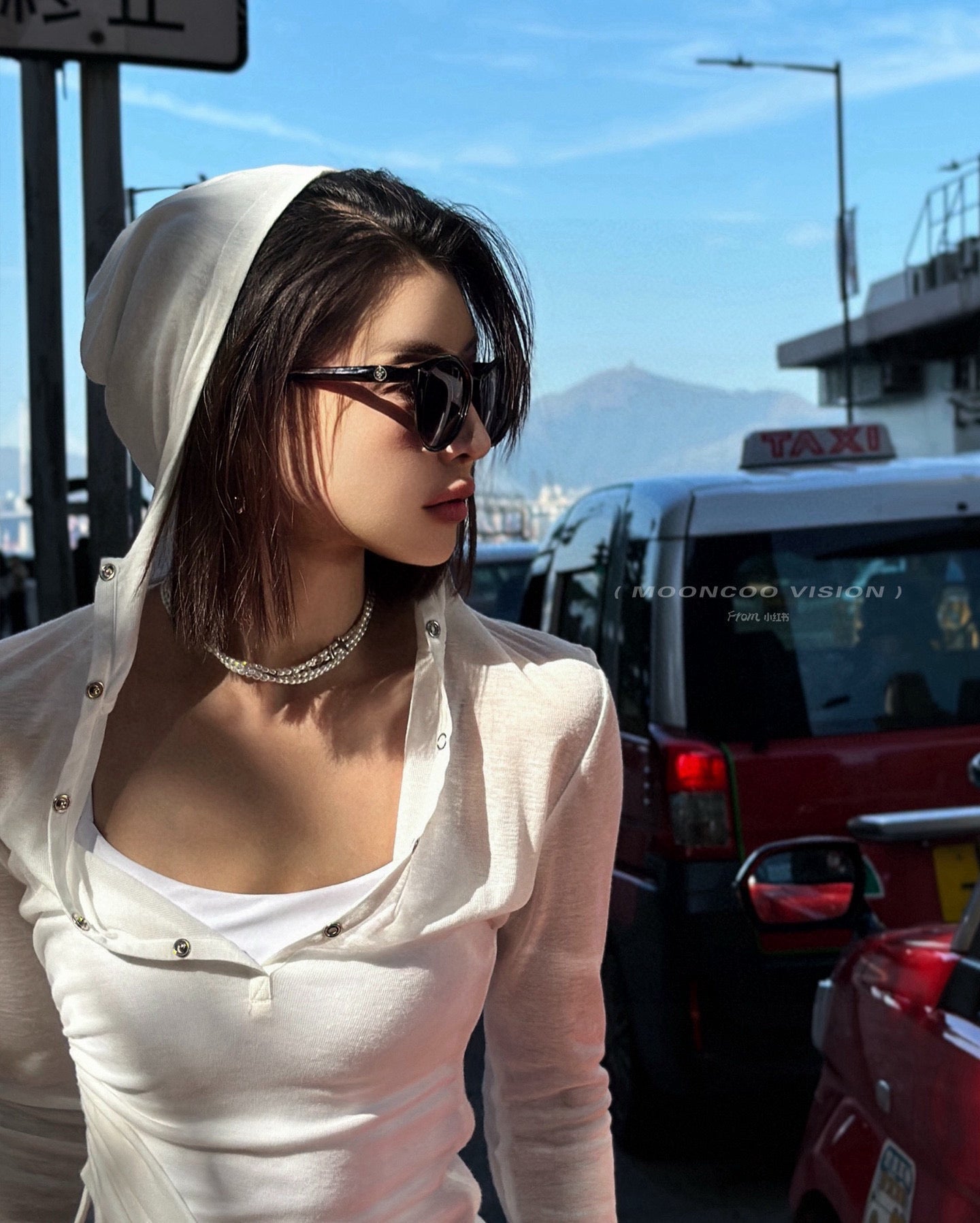 LOUIS VUITTON CAT EYE SUNGLASSES L6907 IN ACETATE
