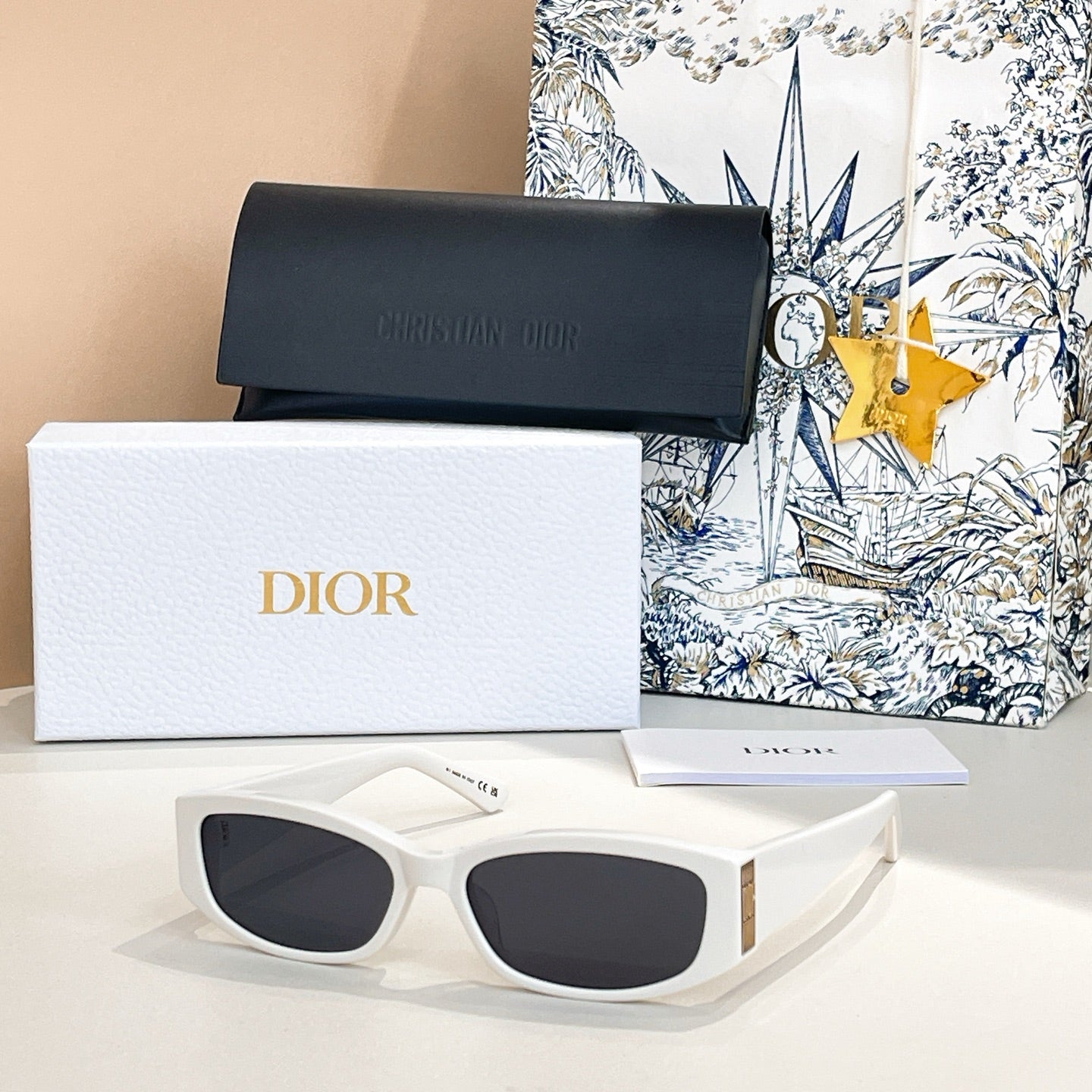 DIOR MONTAIGNE SUNGLASS GLOW S1I IN ACETATE