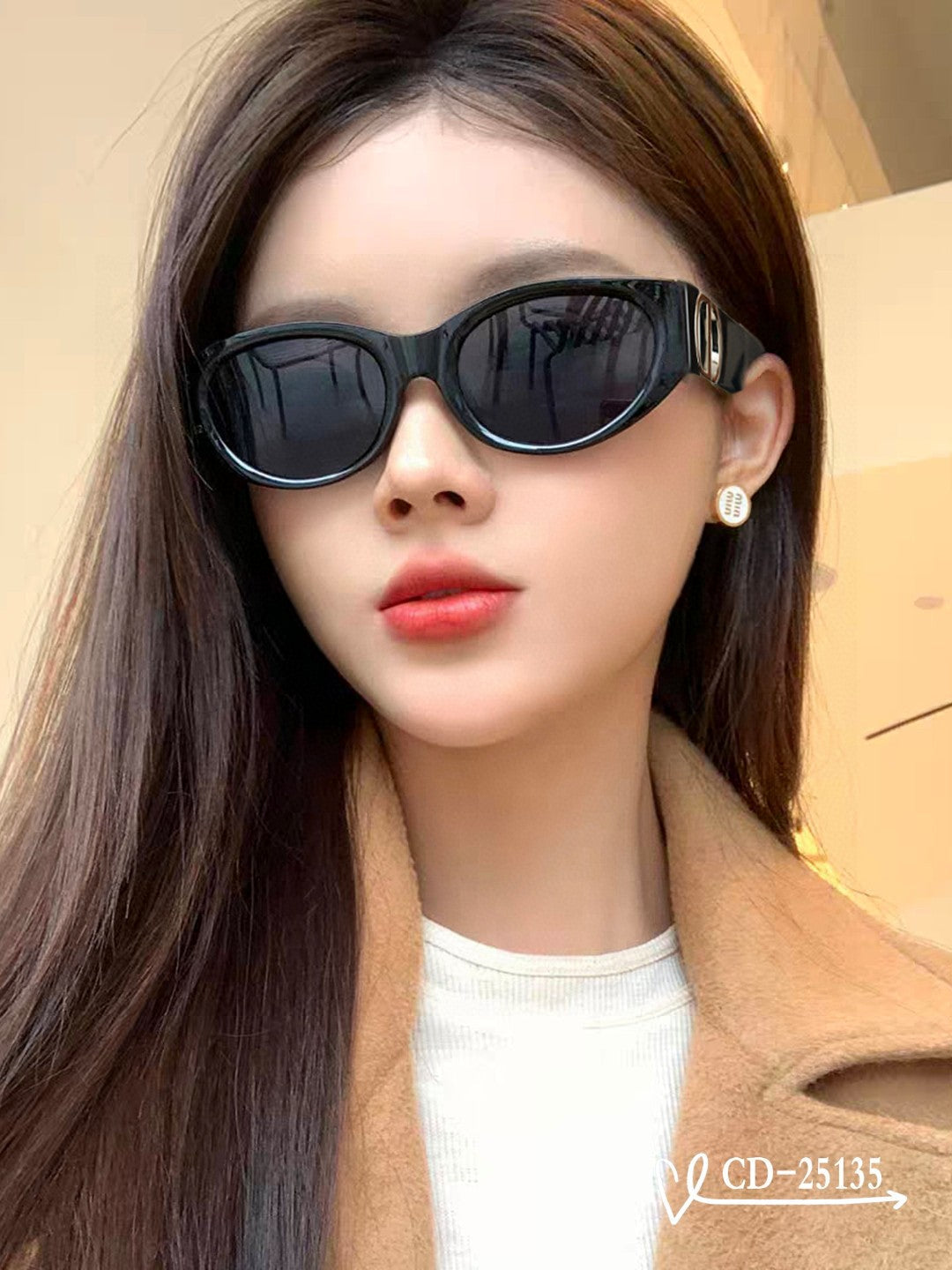 DIOR MONTAIGNE SUNGLASS 25135 IN ACETATE