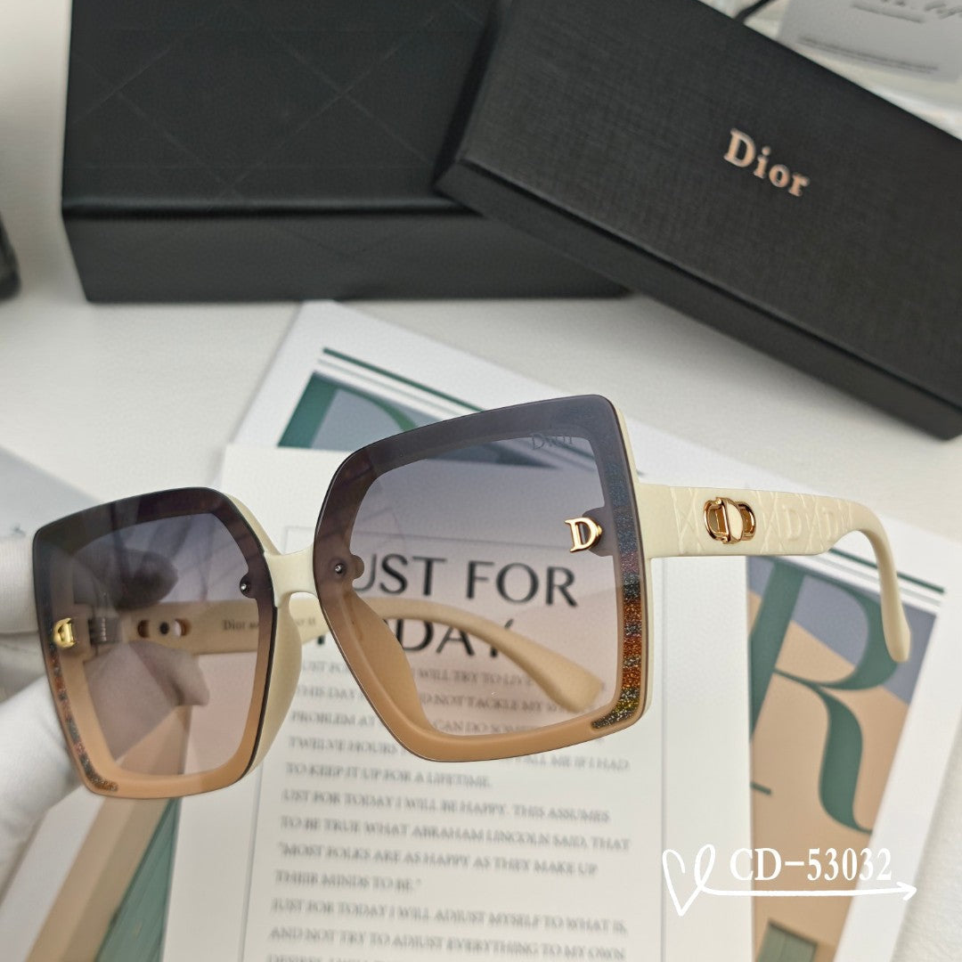 DIOR MONTAIGNE SUNGLASS 53032 IN ACETATE