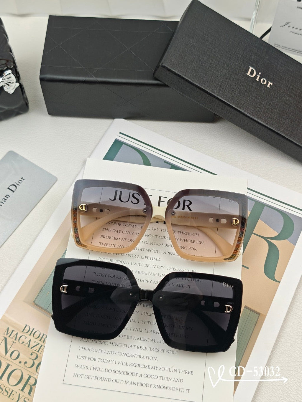 DIOR MONTAIGNE SUNGLASS 53032 IN ACETATE