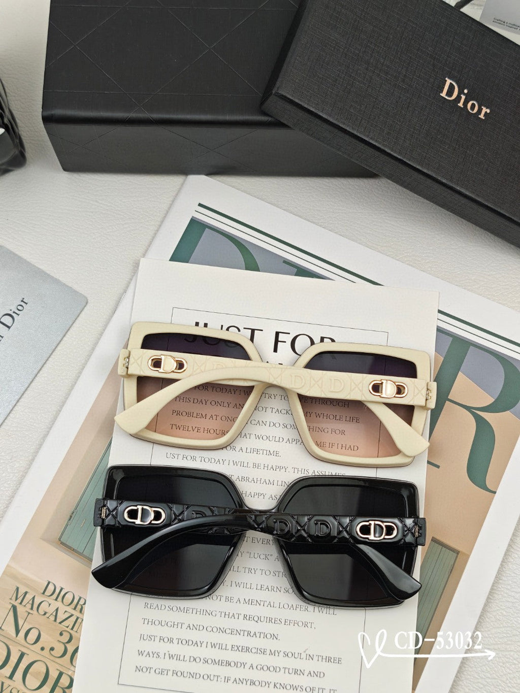 DIOR MONTAIGNE SUNGLASS 53032 IN ACETATE