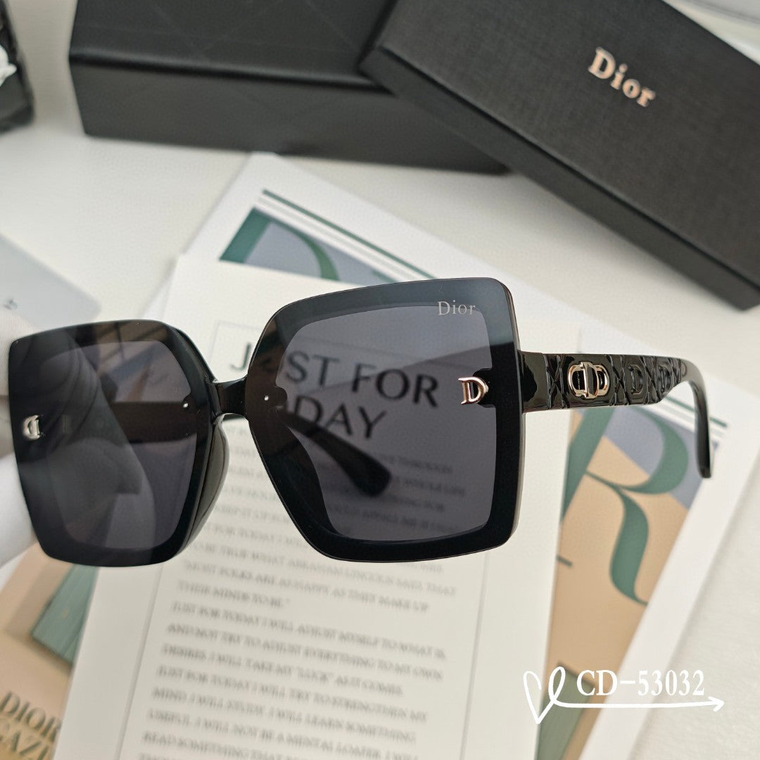 DIOR MONTAIGNE SUNGLASS 53032 IN ACETATE