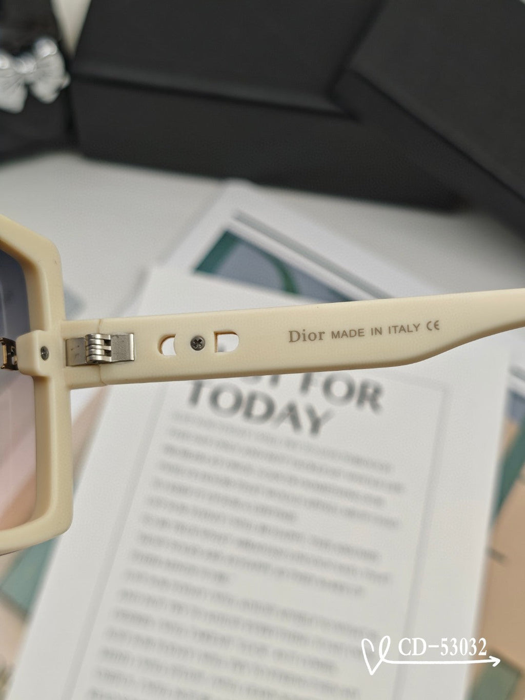 DIOR MONTAIGNE SUNGLASS 53032 IN ACETATE