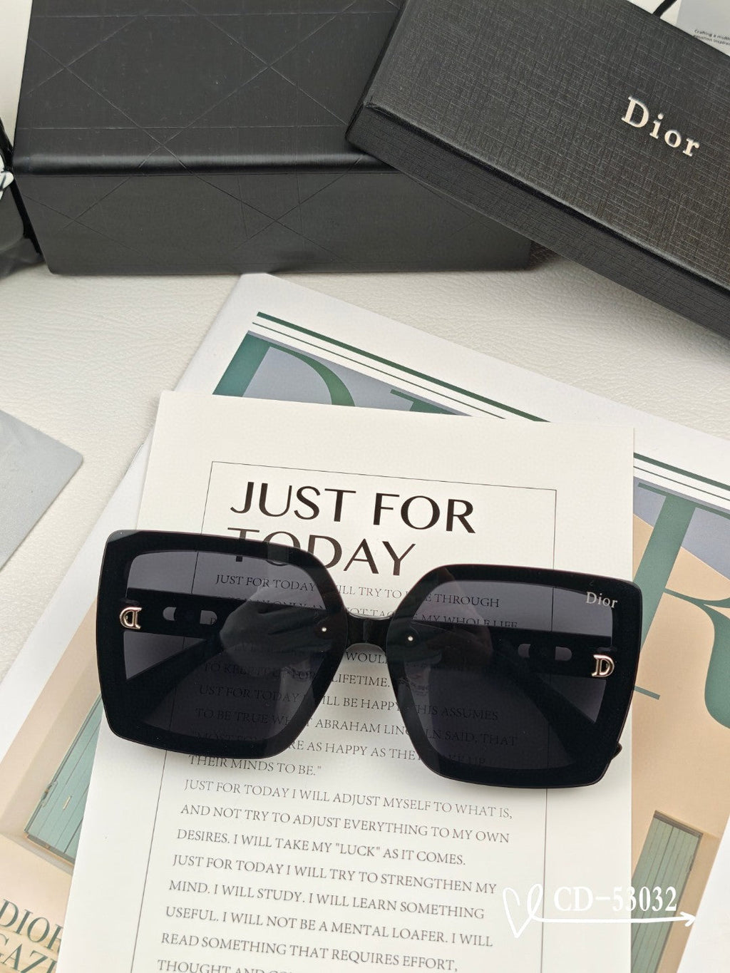 DIOR MONTAIGNE SUNGLASS 53032 IN ACETATE