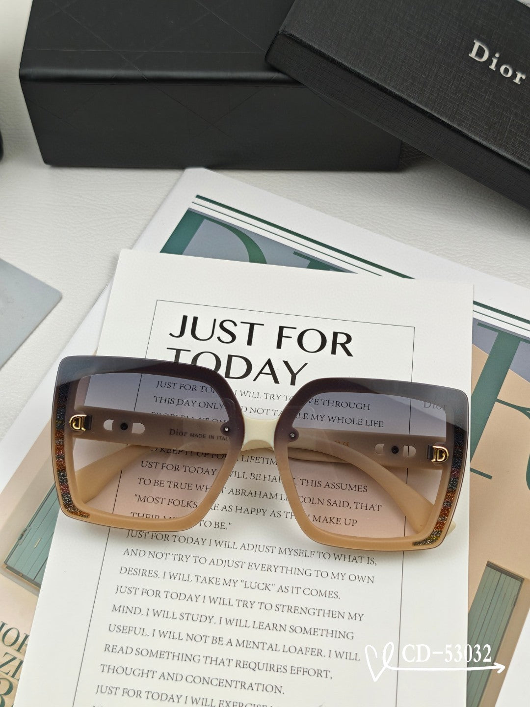 DIOR MONTAIGNE SUNGLASS 53032 IN ACETATE