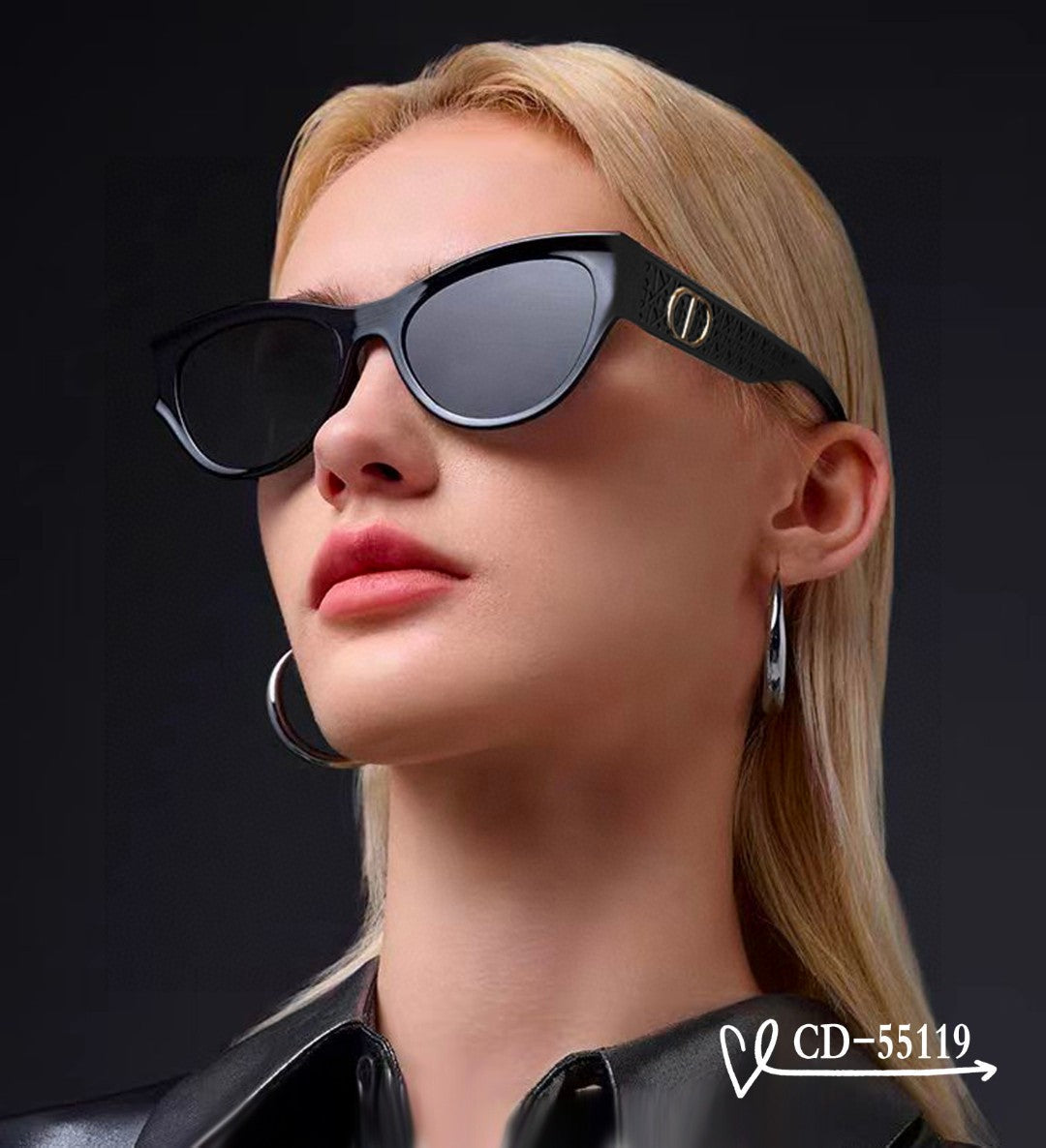 DIOR MONTAIGNE SUNGLASS 55119 IN ACETATE