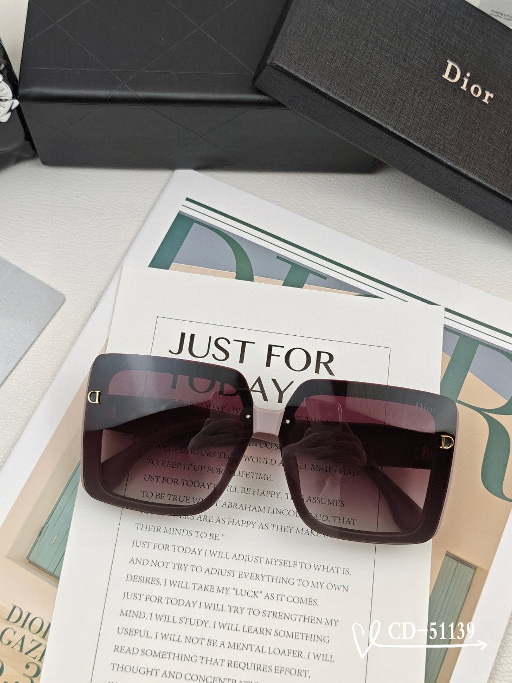 DIOR MONTAIGNE SUNGLASS 51139 IN ACETATE