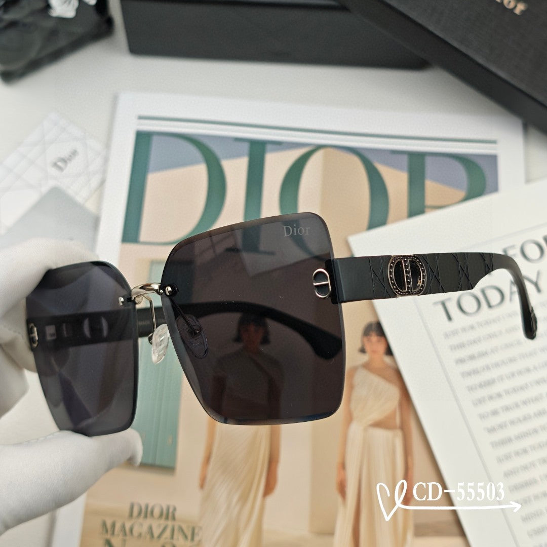 DIOR MONTAIGNE SUNGLASS 55503 IN ACETATE
