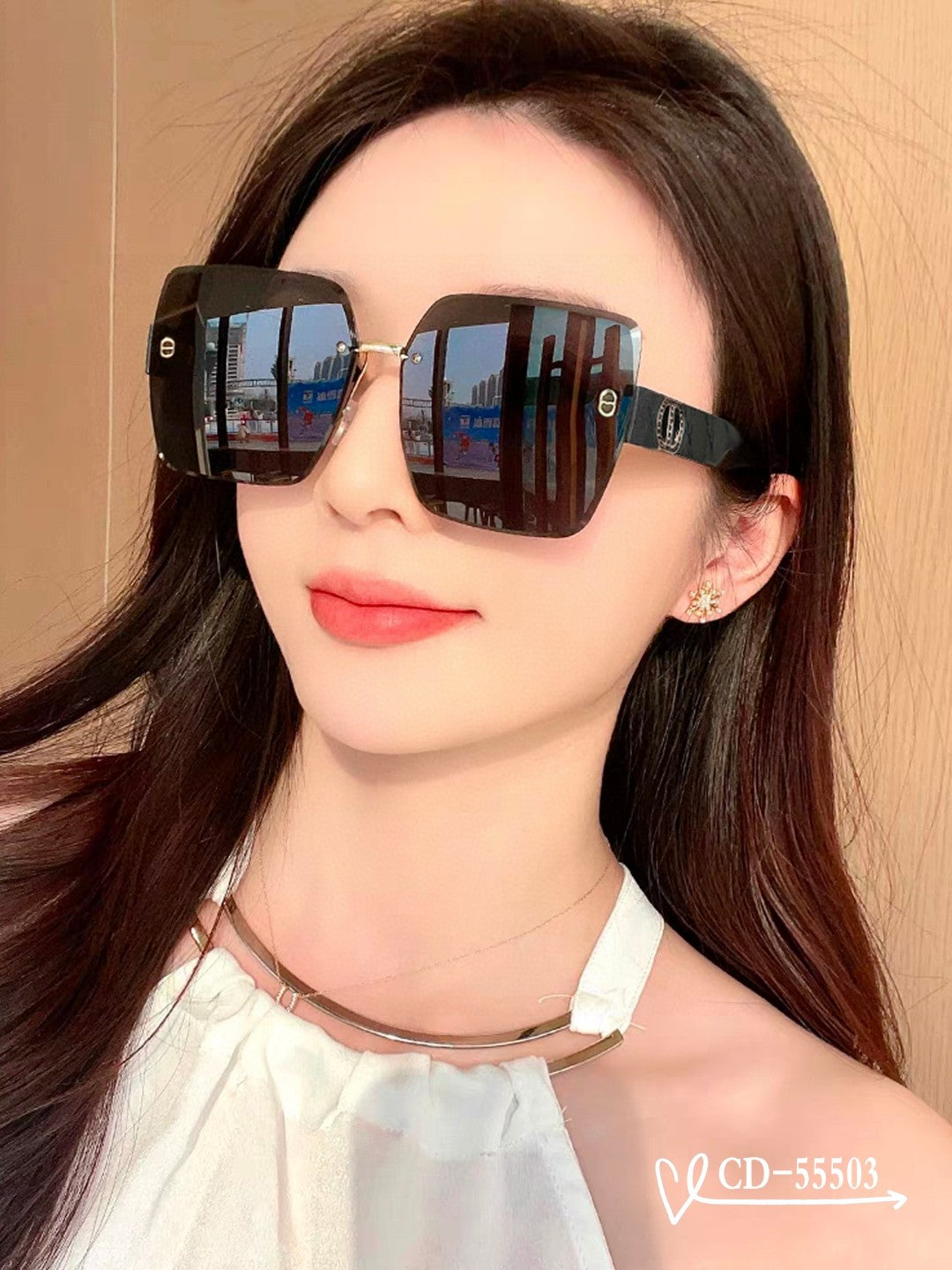 DIOR MONTAIGNE SUNGLASS 55503 IN ACETATE