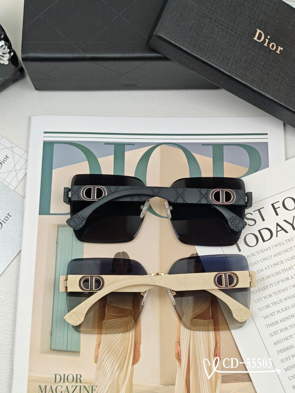 DIOR MONTAIGNE SUNGLASS 55503 IN ACETATE