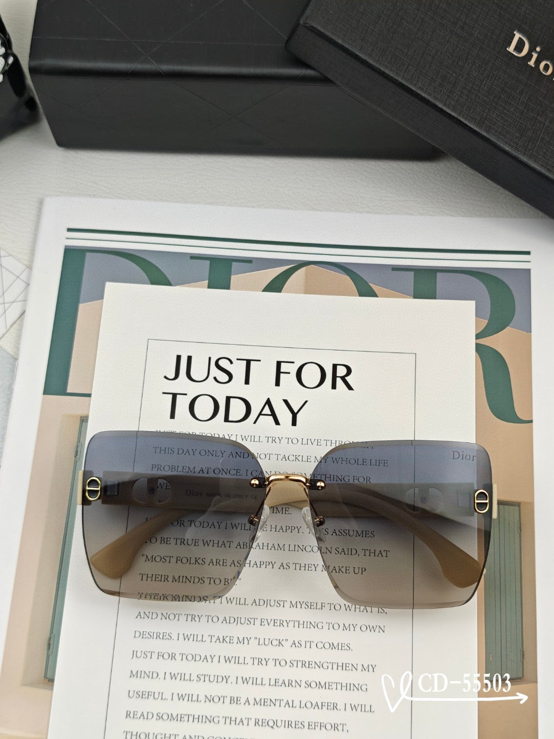 DIOR MONTAIGNE SUNGLASS 55503 IN ACETATE
