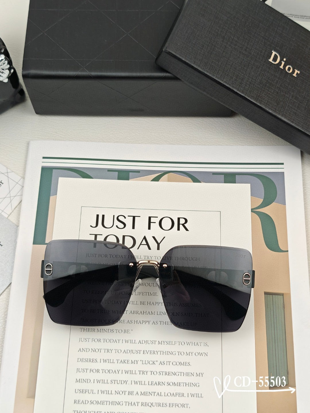DIOR MONTAIGNE SUNGLASS 55503 IN ACETATE