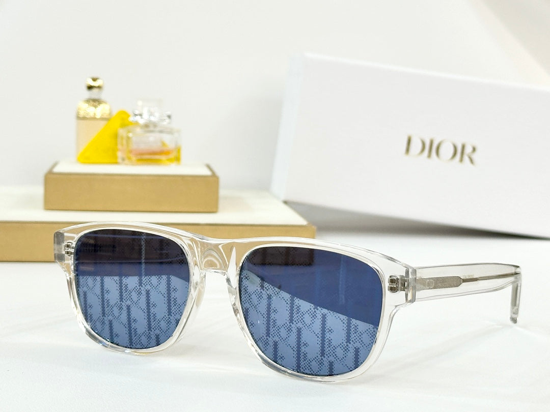 DIOR MONTAIGNE SUNGLASS FLAG2 IN ACETATE