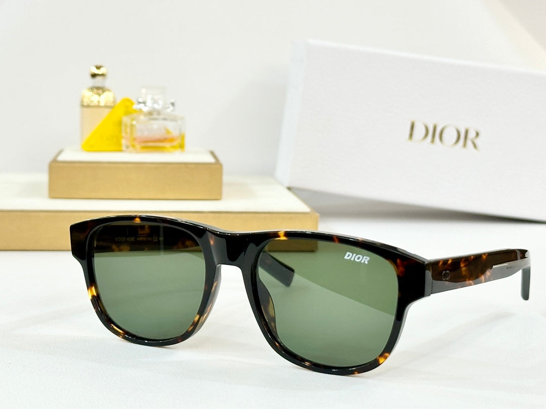 DIOR MONTAIGNE SUNGLASS FLAG2 IN ACETATE