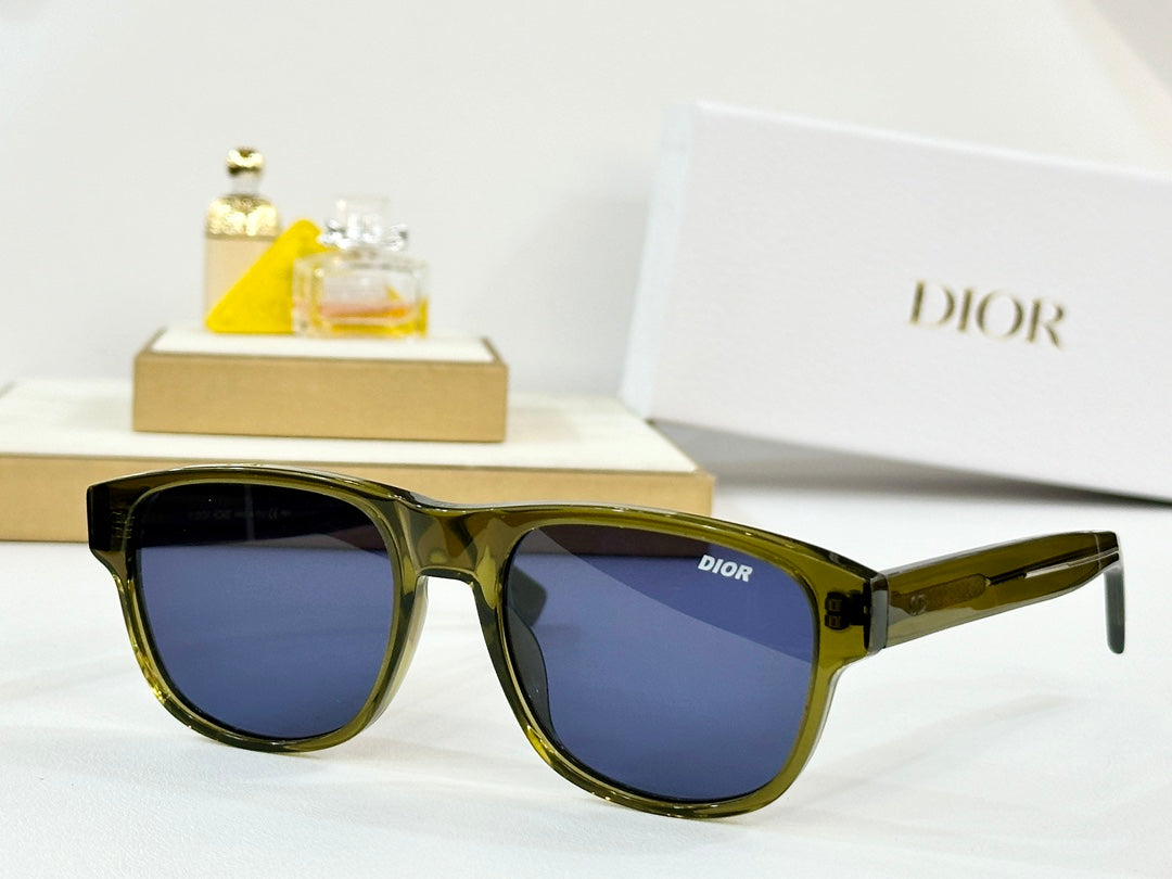 DIOR MONTAIGNE SUNGLASS FLAG2 IN ACETATE