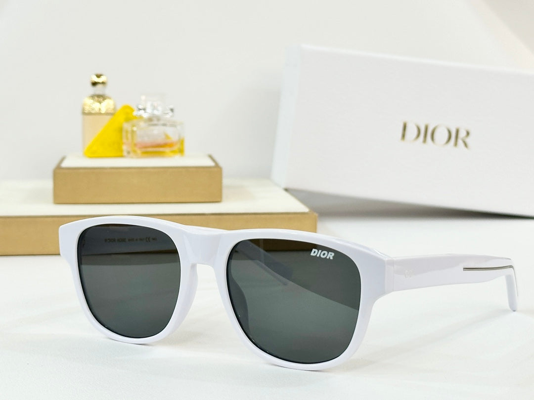 DIOR MONTAIGNE SUNGLASS FLAG2 IN ACETATE