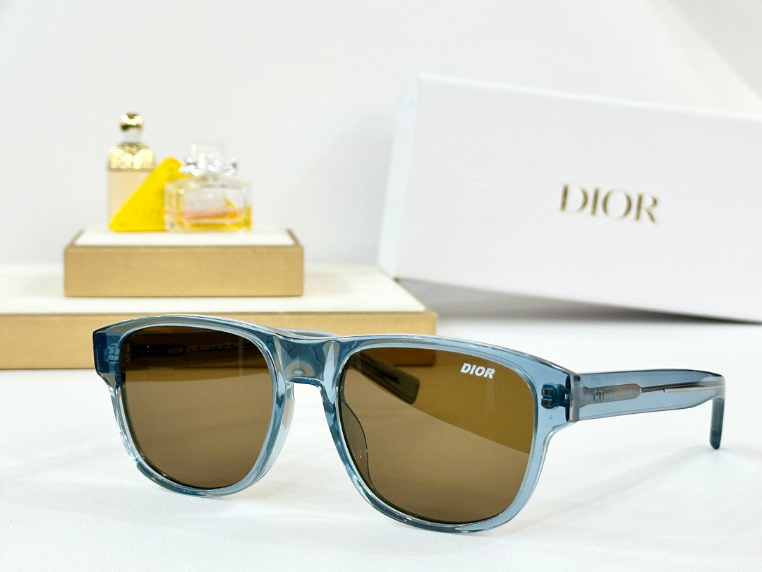 DIOR MONTAIGNE SUNGLASS FLAG2 IN ACETATE