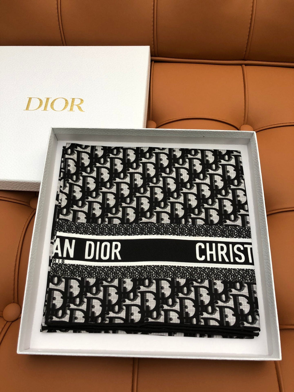 DIOR SCARF 90 IN SILK 704589