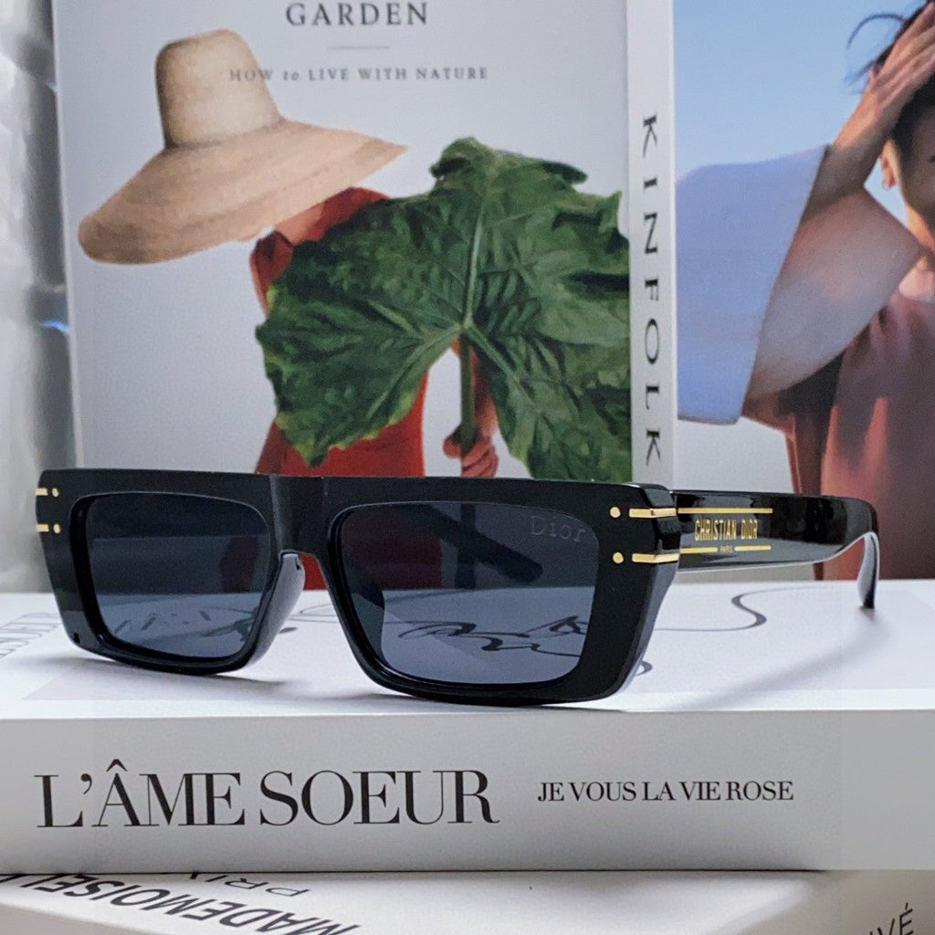 DIOR SIGNATURE SUNGLASS 571588 IN BLACK ACETATE