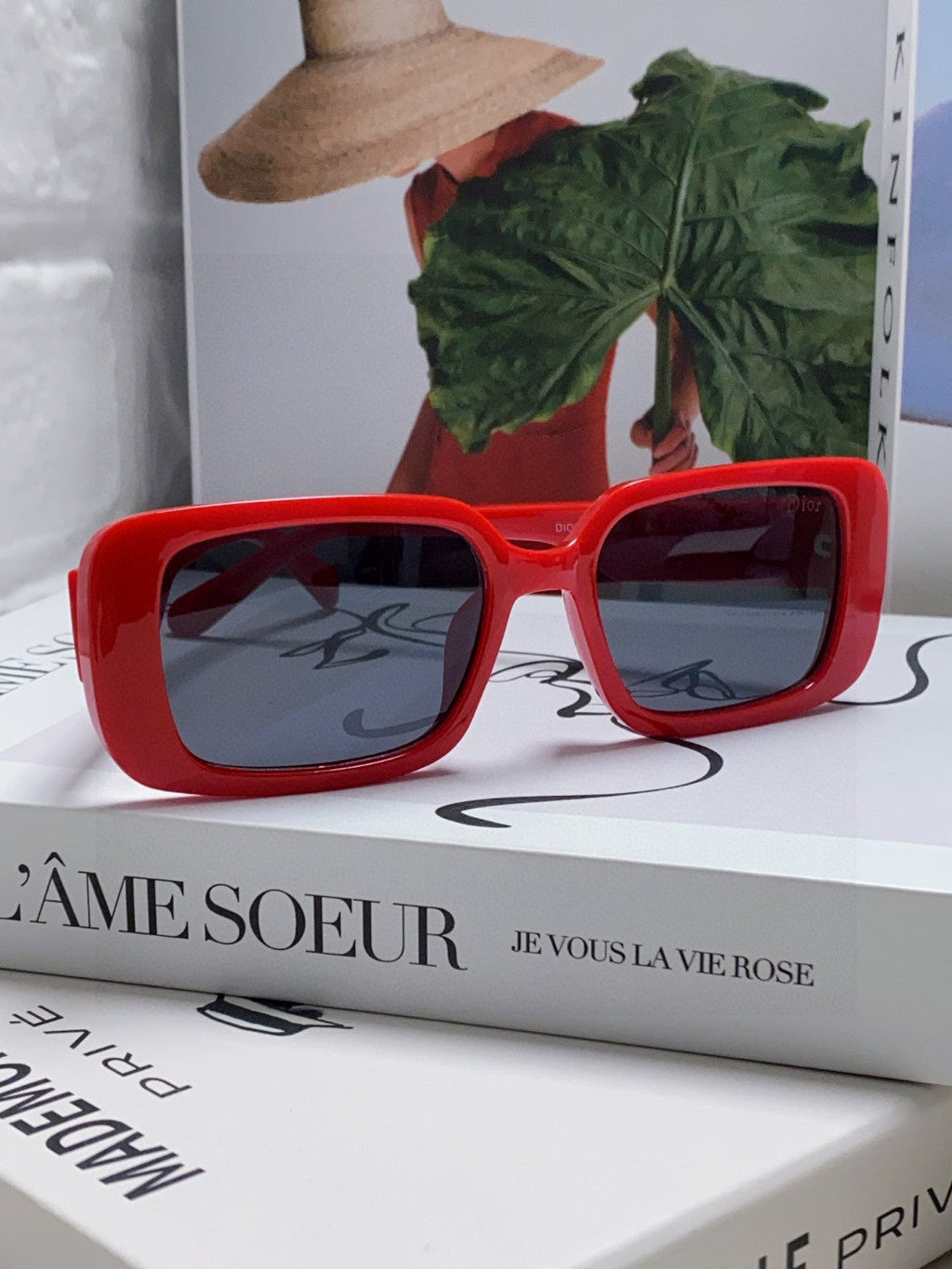 DIOR MONTAIGNE SUNGLASS 571592 IN RED ACETATE TEXT LOGO