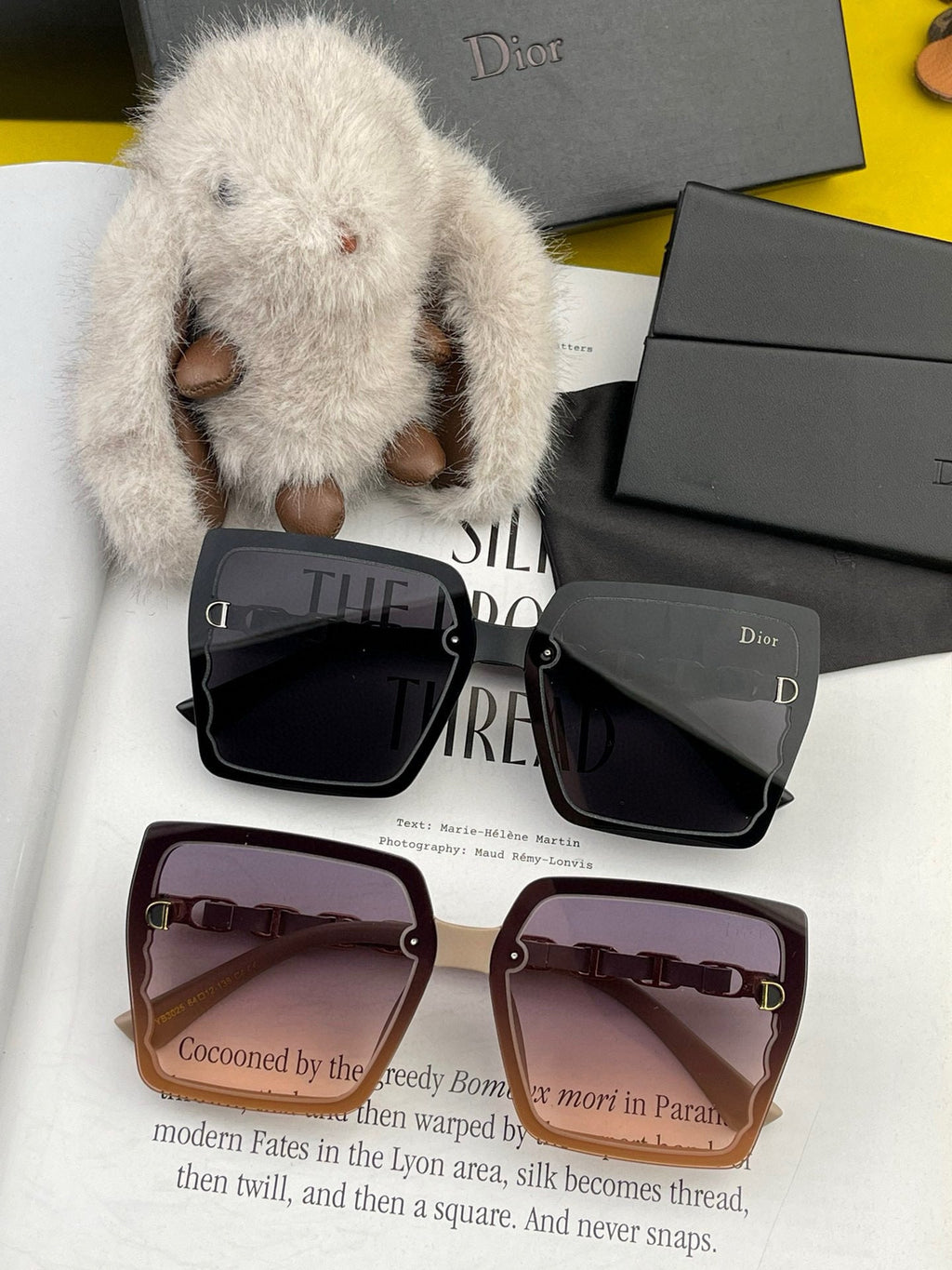 DIOR MONTAIGNE SUNGLASS CD5302 IN ACETATE EMBOSSED LOGO