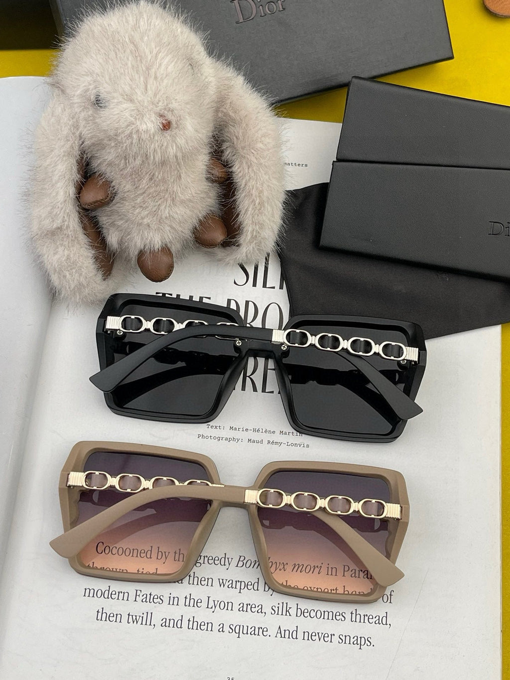 DIOR MONTAIGNE SUNGLASS CD5302 IN ACETATE EMBOSSED LOGO